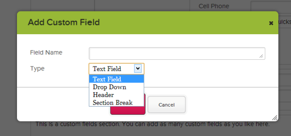 Adding a New Custom Field