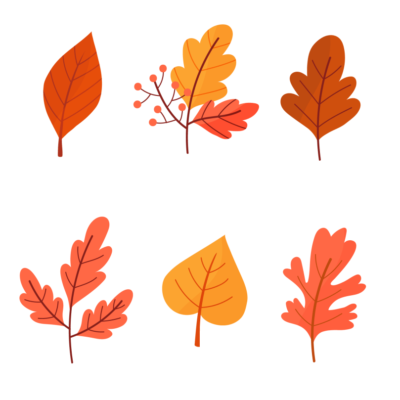 teacher tips for fall activities