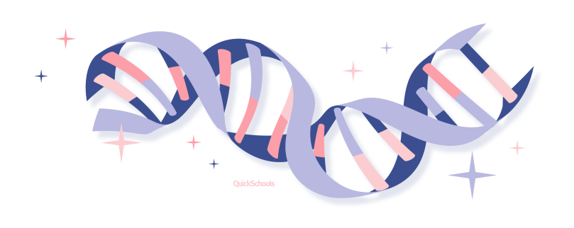 molecular biology and genetics