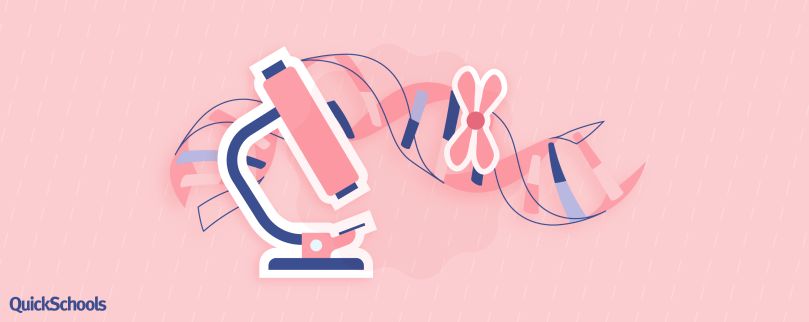 Nobel Prize Nominee Rosalind Franklin and her work using DNA structures