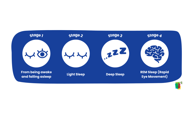 Different stages of sleep