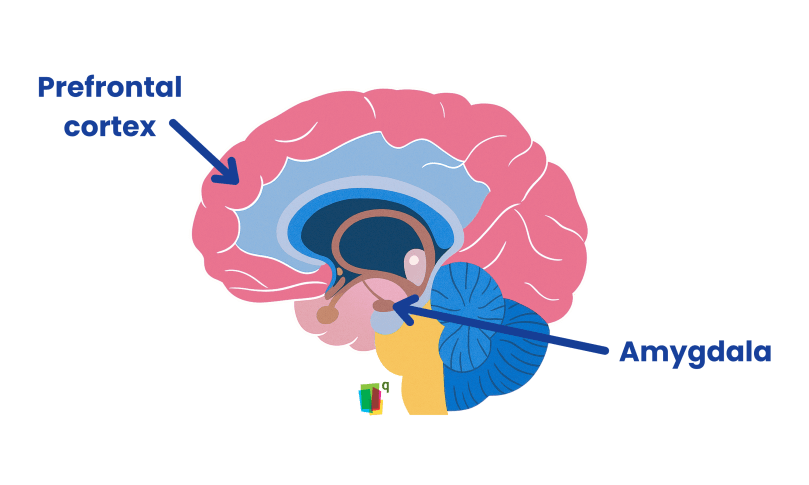 Boost REM Sleep and Set Yourself Up for Success