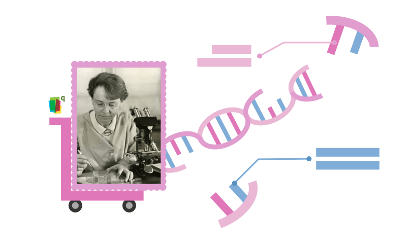 women in discovery - Barbara McClintock