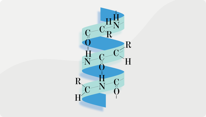 Chemistry, alpha-helix structure of proteins
