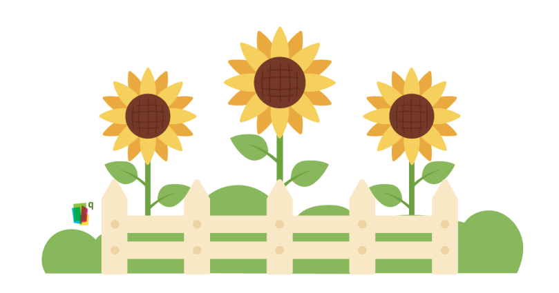 Family-friendly festivals - Sunflower farms