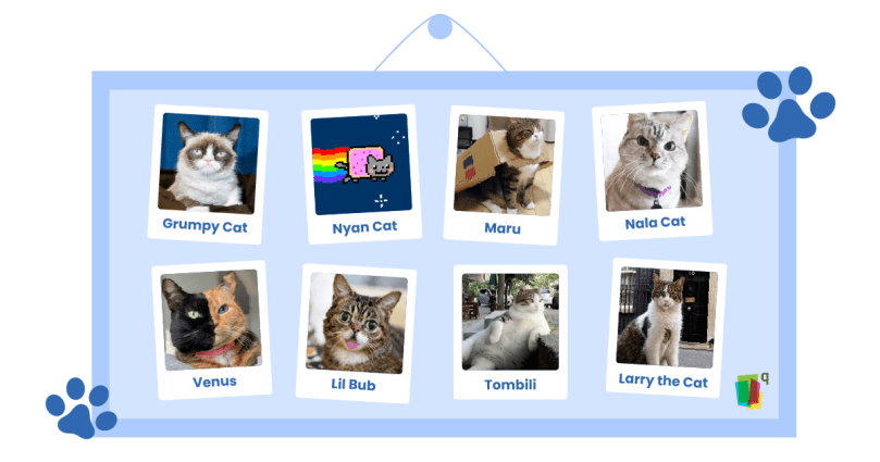 Cats that shaped the internet culture