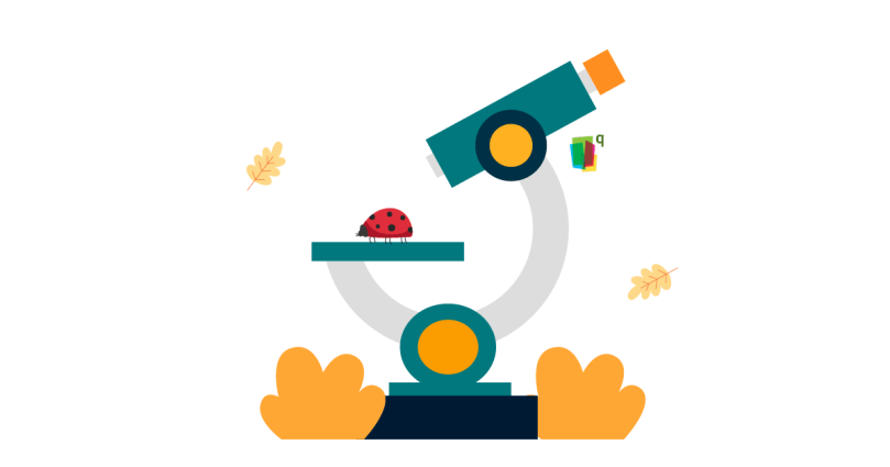 Become Seasonal Scientists